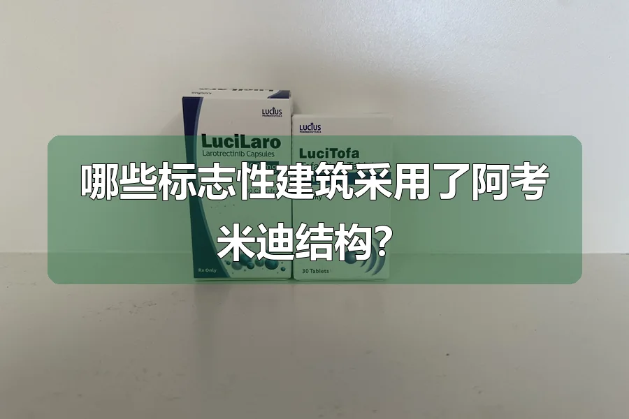 哪些标志性建筑采用了阿考米迪结构?