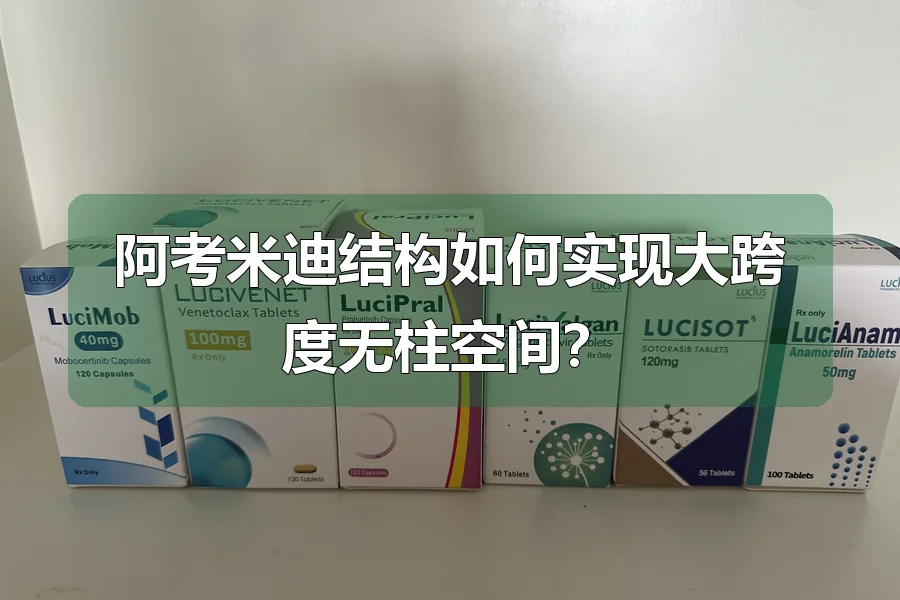 阿考米迪结构如何实现大跨度无柱空间?